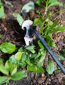 TOYPOPOR New Weeding Artifact Uprooting Weeding Tool, 16" Weed Puller, 4 Teeth Manganese Steel Forged Hand Pulling Weeder for Garden Yard Farm Weed Removal by GreenHaven Gardens