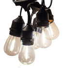 Hometown Evolution, Inc. 50 Foot E26 LED Outdoor Commercial String Lights with 25 Suspended Sockets and S14 LED Filament 1 Watt Bulbs by CozyNest Decor