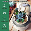 Smart Venus Fly Trap Terrarium Pot with Timer&Fan,Succulent Planter with Grow Light,Indoor Plant Pots Terrarium with Drainage Hole for Carnivorous Plants,Sundew Moss,Cactus(No Plant) by GreenHaven Gardens