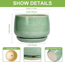 G EPGardening Ceramic Plant Pot - 4 inch Plant Pots with Drainage Hole & Saucer, Small Pots for Plant Indoor Outdoor, Modern Round Planter, Decorative Flower Pot, Room Decor, House Warming Gift, Green by GreenHaven Gardens