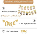 First Birthday Photo Banner Monthly Milestone Photograph Bunting Garland with First Birthday Cake Topper High Chair Banner 1st Birth Decorations by TinyTreasures Baby Boutique