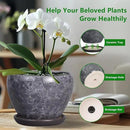 Ceramic Planter - 6 Inch Plant Pot with Drainage Hole and Saucer, Succulent Pot Glaze Round Flower Pot for Indoor Outdoor Plants, Gray by GreenHaven Gardens