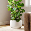 LE TAUCI Ceramic Planters, 12 Inch Pots for Plants, Plant Pots with Drainage Holes and Saucers, Durable and Modern, Planters for Indoor Plants, White by GreenHaven Gardens