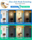 VIANIS Motion Sensor Porch Lights, Outdoor Light Fixtures Wall Mount Dusk to Dawn, Gold Waterproof Exterior Lights for House, Outdoor Wall Lights for House, Doorway, Patio, Anti-Rust by GreenHaven Gardens