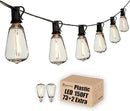 DAMAING Outdoor String Lights 150 FT Patio Lights String with 75 Dimmable ST38 Plastic LED Bulbs,Vintage Shatterproof Edison String Lights Waterproof for Bistro Balcony Backyard and Gazobos. by GreenHaven Gardens