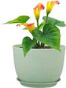 12 inch Big Plant Pots, Plastic Planters with Drainage Holes and Trays, Flower Pots for Indoor Outdoor Plants, Modern Decorative Pots for Garden House Plants, Green by GreenHaven Gardens