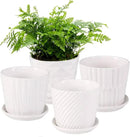 Plant Pots - 5.5 Inch Cylinder Ceramic Planters with Connected Saucer, Pots for Succuelnt and Little Snake Plants, Set of 4, White by GreenHaven Gardens