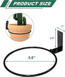 vensovo 6 Inch Metal Wall Mounted Plant Holder - 6 Pack Flower Pot Hanger Rings, Wall Planter Ring Holders Bracket Hooks Heavy Duty for Indoor and Outdoor Decor by GreenHaven Gardens