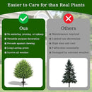 31" Artificial Cedar Topiary Ball Trees with Ground Spike,2 Pack Fake Pine Shrubs Bushes, UV Resistant Faux Evergreen Cypress Tree Plants for Indoor Outdoor Planters Front Porch Garden Decor by GreenHaven Gardens