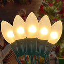 25 FT C9 Frosted Christmas Lights,Warm White Outdoor Christmas Lights with 26 Bulbs(1 Spare), C9/ E17 Base,Old Fashioned Christmas Lights for Roofline, Yard, Garden, Wedding Decorations by GreenHaven Gardens