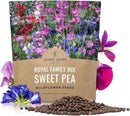 Sweet Pea Seeds Royal Mix - Bulk 1 Ounce Packet - Over 350 Seeds - Large Fragrant Lavender, Purple, Red, Pink and White Blooms by GreenHaven Gardens