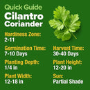 HOME GROWN 𝗨𝗦𝗔 𝗣𝗥𝗘𝗠𝗜𝗨𝗠 500+ Cilantro Seeds for Planting Indoors or Outdoors - Heirloom 𝗡𝗢𝗡-𝗚𝗠𝗢 Coriander Seeds, Grow Your Own Cilantro Plant - Culinary Herb Seeds for Your Herb Garden by GreenHaven Gardens