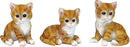 Design Toscano Tabby Kitten Triplets, Baby Cat Statues by GreenHaven Gardens
