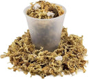 Premium Phalaenopsis Imperial Orchid Potting Mix - Hand Mixed in Small Batches | Great for Phalaenopsis of All Kinds - by GARDENERA - 2 Quart Bag by GreenHaven Gardens
