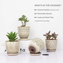 Gepege Succulent Pots, 4 Inch Small Indoor Ceramic Planter Pot with Drainage Holes and Saucers for Plants- Creamy White - Set of 4 by GreenHaven Gardens