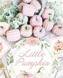 Aukolass Pumpkin Party Supplies Tableware Set - Fall Theme Party Decorations Including Plates, Napkins and Cups for Pumpkin Birthday and Baby Shower Party, Serves 24 Guests (pink)