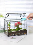 Handmade Glass Planter Terrarium with Lid, Indoor Tabletop Centerpiece Display Box Modern Decor DIY Gift Plant Terrarium Container for Succulent Cacti Air Plants Flower (Black) by CozyNest Decor