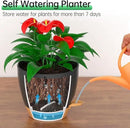 ZMTECH 10 Inch Hanging Planters for Indoor Outdoor Plants, 2 Pack Self Watering Hanging Plant Pots with Drainage Holes and Removable Saucer, Plastic Flower Hanging Pots with Watering Lip (Black) by CozyNest Decor