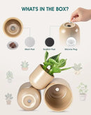 vancasso Ceramic Plant Pots, 4+5+6 inches, Set of 3, Planters with Drainage Hole, Flower Pots Planters Pots for Indoor Plants, Modern Indoor Decorative Garden Pot, Home Decor, Brown by GreenHaven Gardens