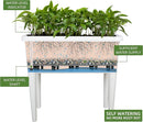 Dexceder 13.2 Gallon Self Watering Raised Garden Bed with Ventilation Transparent Lid Greenhouse, Deepen Vegetable Flower Box Planter Pot with Removeble Legs & Water Level Indicator (White) by GreenHaven Gardens