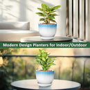8 Inch Plant Pot, Ceramic Planter with Drainage and Saucer, Ceramic Pots for Plants, Indoor Plant pots,Ceramic Flower pots(Blue + White, Plants NOT Included) by GreenHaven Gardens