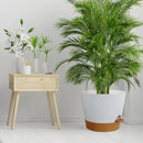 12 inch Large Self Watering Pots for Indoor Outdoor Plants, Flower Plant Pots with Drainage Holes for Garden House Plants, Plastic Planters with Reservoir for Home Plants, White with Brown by GreenHaven Gardens