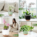 7.2 Inch Self Watering Orchid Pots for Indoor Plants,Macetas para Orqudeas,Flower Pots for Indoor Plants with Holes(Black) by GreenHaven Gardens