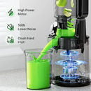Juicer Machines,Aeitto Cold Press Juicer with 5.3“ Extra Large Feed Chute for Whole Fruits & Vegetables, Slow Masticating Juice Extractor, Self Feeding, Easy to Clean, High Juice Yield, Grey by CozyNest Decor