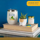 Costa Farms Live Plant Gift Box, Succulent Live Indoor Houseplant, Perfect Birthday and Holiday Gift, Includes Mini Succulent, Insulated Tumbler, Soy Candle, Collectible Sticker, Cute Room Decor by GreenHaven Gardens