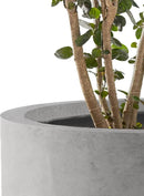 Kante 12.6" Dia Round Concrete Planter, Modern Style Large Cylindrical Plant Pot with Drainage Hole and Rubber Plug for Indoor Outdoor Patio, Natural Concrete by GreenHaven Gardens