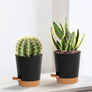 4 inch Small Plant Pots for Outdoor Indoor Plants, 5 Pack Planters with Drainage Holes and Tray, Small Self Watering Pots for Succulent,Cactus, Aloe and Other Plants (Black) by GreenHaven Gardens