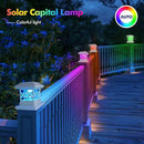 TWINSLUXES Solar Post Cap Light Outdoor, Waterproof LED Fence Post Solar Light, Solar Post Light, 3.5x3.5/4x4/5x5 Post for Patio, Deck Garden Decoration, Wooden or Vinyl Fence Deck Post by GreenHaven Gardens
