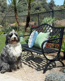 PHI VILLA 50" Outdoor Garden Patio Metal Bench for Outdoors with Plastic Backrest Armrests Sturdy Steel Frame, Black by GreenHaven Gardens