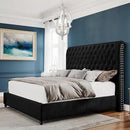 PaPaJet King Bed Frame Upholstered Platform Bed Frame with 52.8'' Tall Sleigh Headboard, Button Tufted, No Box Spring Needed, Easy Assembly, Black by CozyNest Decor