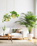 AceList Boho Gold Metal Hanging Planters, Set of 2 with Hooks & Chains - Versatile Wall & Ceiling Window Hanging Planters for Indoor/Outdoor Décor by GreenHaven Gardens