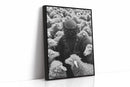 Astronaut Among the Sheep
