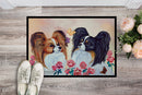 Papillon Doormat Indoor Outdoor 18H X 27W Front Door Mat Rugs for Entryway, Non Slip Washable