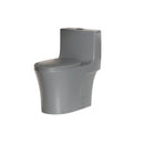 1 Piece Toilet With Dual Flush And Soft Closing Seat by HouseOfZazla