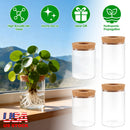 4Pack Glass Propagation Stations For Plants Indoor Glass Planters Hydroponic Plant Vases 2 Large 2 Small for Plant Cuttings Flower Arrangements