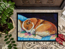 Corgi Doormat Indoor Outdoor 18H X 27W Front Door Mat Rugs for Entryway, Non Slip Washable