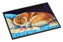Corgi Doormat Indoor Outdoor 18H X 27W Front Door Mat Rugs for Entryway, Non Slip Washable