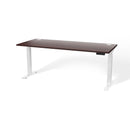 Atlas Custom Standing Computer Desk 67" - 72"