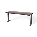 Atlas Custom Standing Computer Desk 67" - 72"