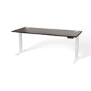 Atlas Custom Standing Computer Desk 67" - 72"