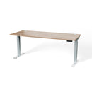 Atlas 72" Height Adjustable Standing Desk