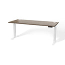 Atlas Custom Standing Computer Desk 67" - 72"