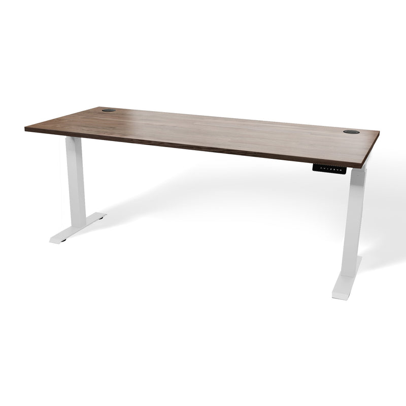 Butcher Block 72” Motorized Standing Desk
