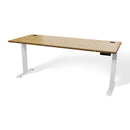 Butcher Block 72” Motorized Standing Desk