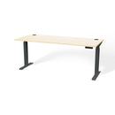 Atlas 72" Height Adjustable Standing Desk