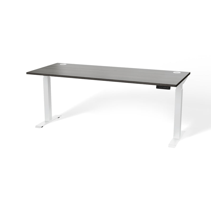 Atlas 72" Height Adjustable Standing Desk